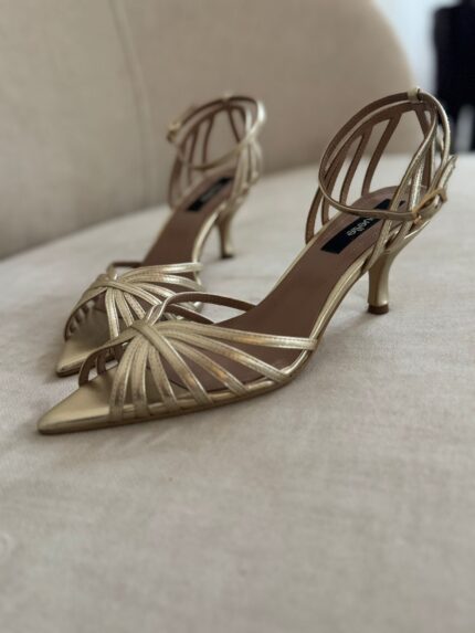 Pointed birdy